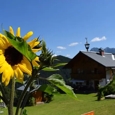 Fesengut بيت ضيافة 4*