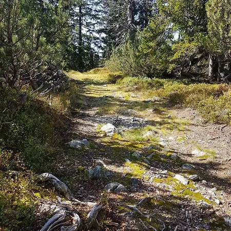 Fesengut بيت ضيافة 4*