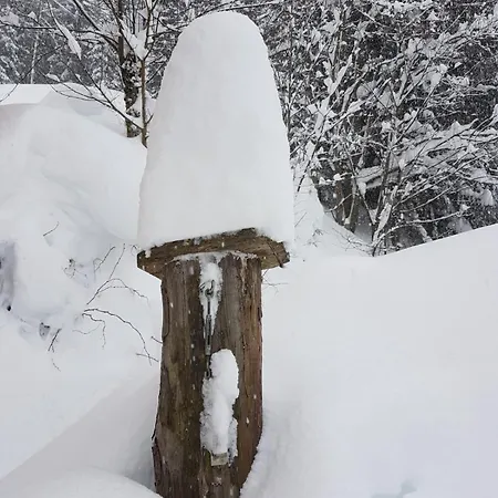 Fesengut 4* أنابيرغ ام لاميرتا