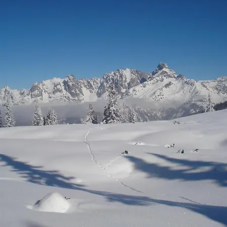 بيت ضيافة Fesengut 4*