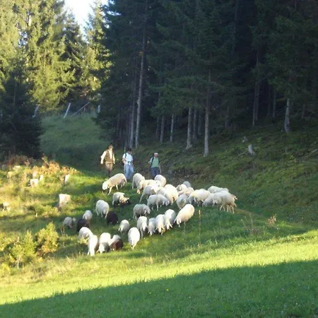 Fesengut أنابيرغ ام لاميرتا