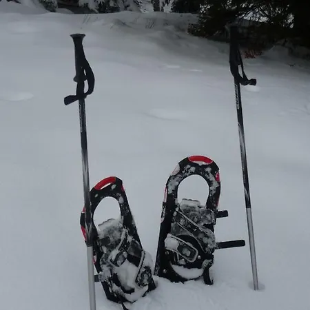 بيت ضيافة Fesengut