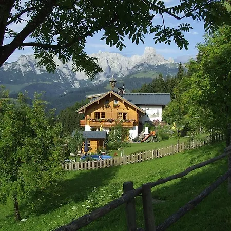 Fesengut *