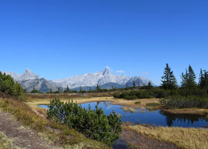 Vendégház Fesengut 4*