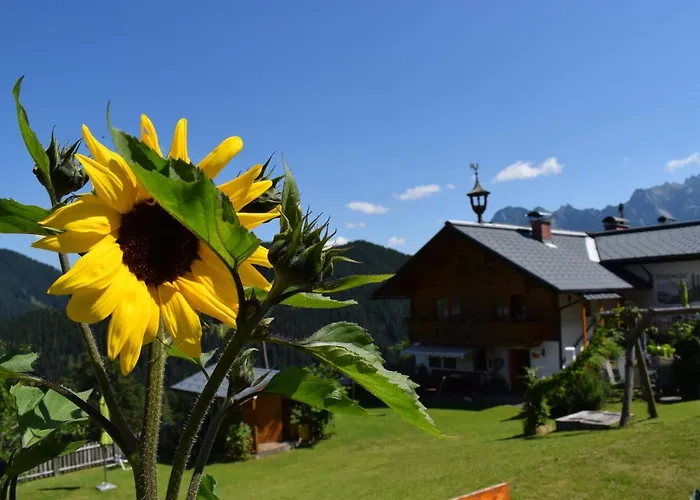 Fesengut Vendégház 4*