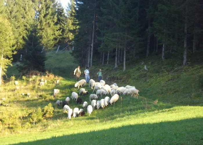 菲森古特旅馆 安纳贝格-伦格茨