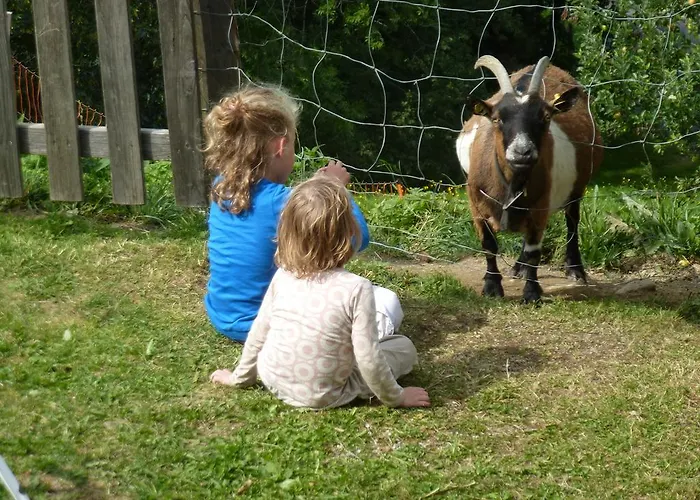 招待所 菲森古特旅馆